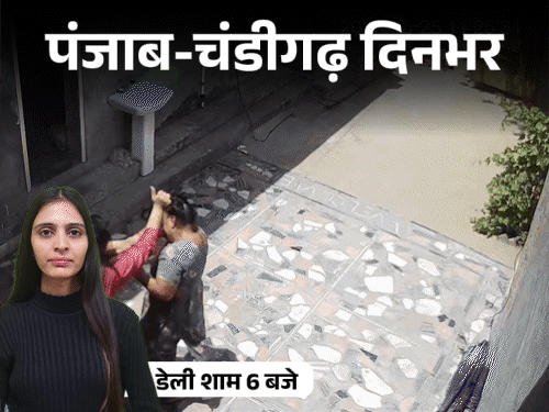 पंजाब-चंडीगढ़ दिनभर,10 बड़ी खबरें:बादशाह का क्लब सील; डॉक्टर की लाश मिली; महिलाओं को ₹1000 अगले महीने से; टाइगर जोड़ी की दहाड़