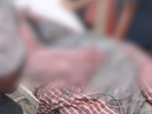 बिहार के मुजफ्फरपुर में हॉस्पिटल में आग, 4 की मौत:20 से ज्यादा झुलसे; ICU के खिड़की-दरवाजे तोड़कर मरीजों को बाहर निकाला