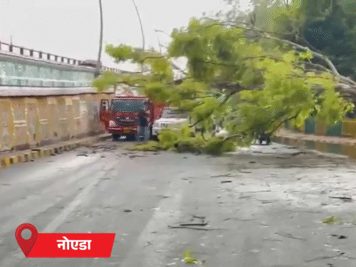 मानसून केरलम पहुंचा, इस बार 3 दिन लेट:7 दिन भारी बारिश का अनुमान; MP में आंधी-बारिश, दिल्ली-NCR में कारों पर पेड़ गिरे