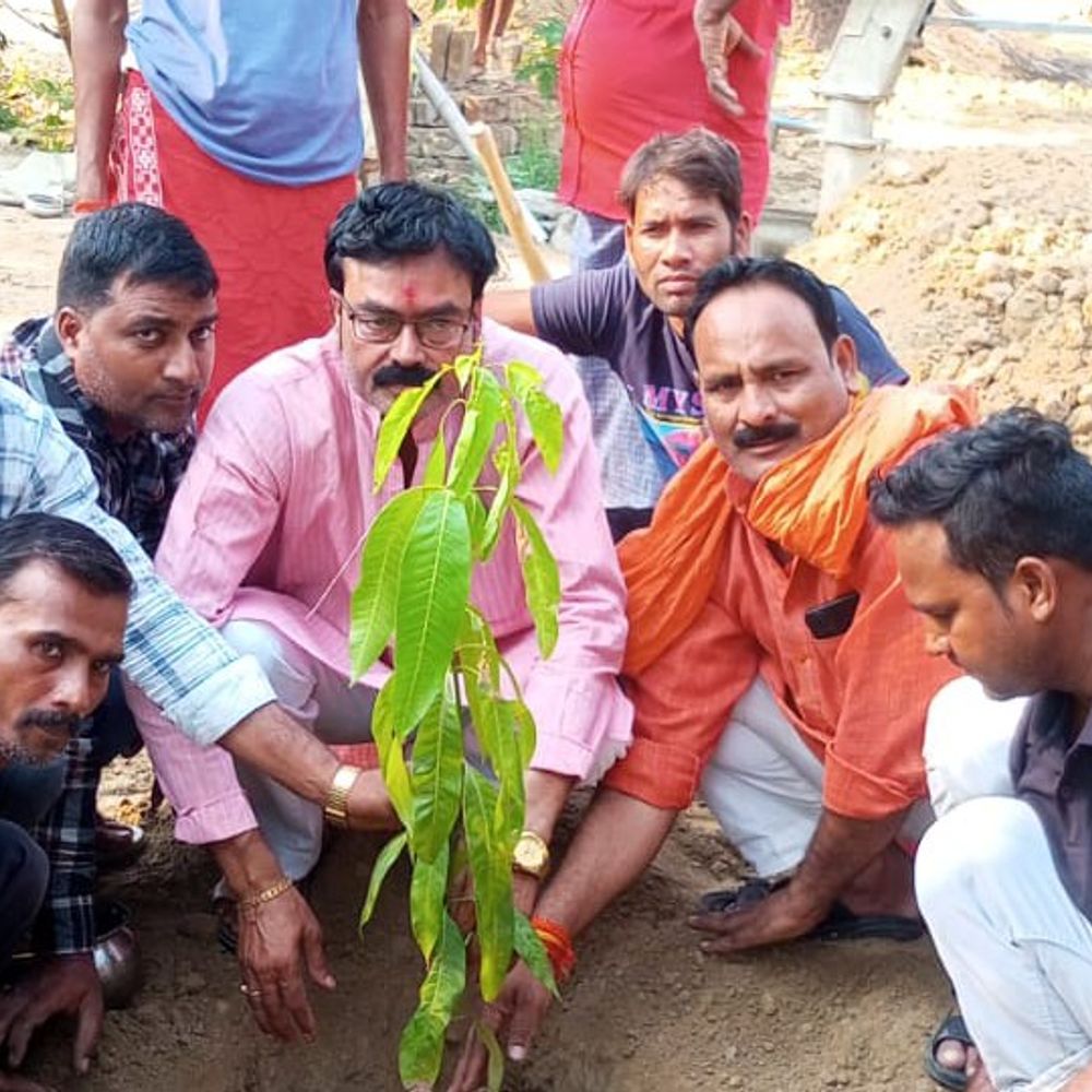 भाजपा ने भदोही के 16 मंडलों में किया वृक्षारोपण:मुख्यमंत्री योगी का जन्मदिन सेवा दिवस के रूप में मनाया