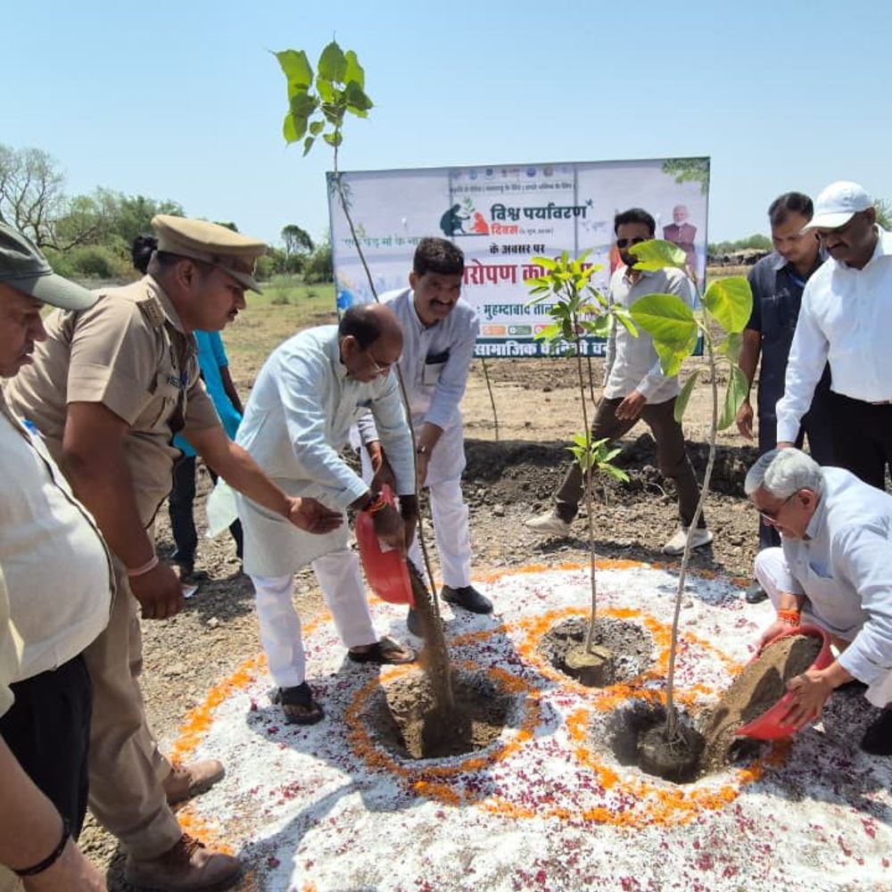 जालौन में विश्व पर्यावरण दिवस पर महाअभियान:10.37 लाख से अधिक पौधे रोपे, एक पेड़-मां के नाम' बना जन आंदोलन