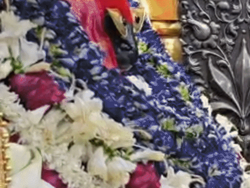 मिर्जापुर में ऊर्जा मंत्री ने किया मां विंध्यवासिनी का दर्शन-पूजन:एके शर्मा बोले- प्रदेश में पर्याप्त बिजली, समस्याओं का होगा समाधान