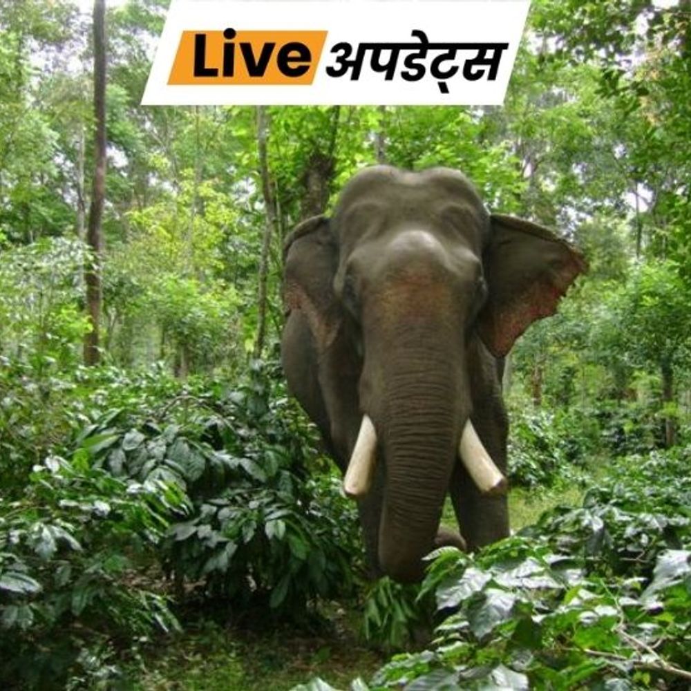 भास्कर अपडेट्स:कर्नाटक में जंगली हाथी के हमले में IPS अफसर की पत्नी की मौत, कॉफी बागान देखने गई थीं