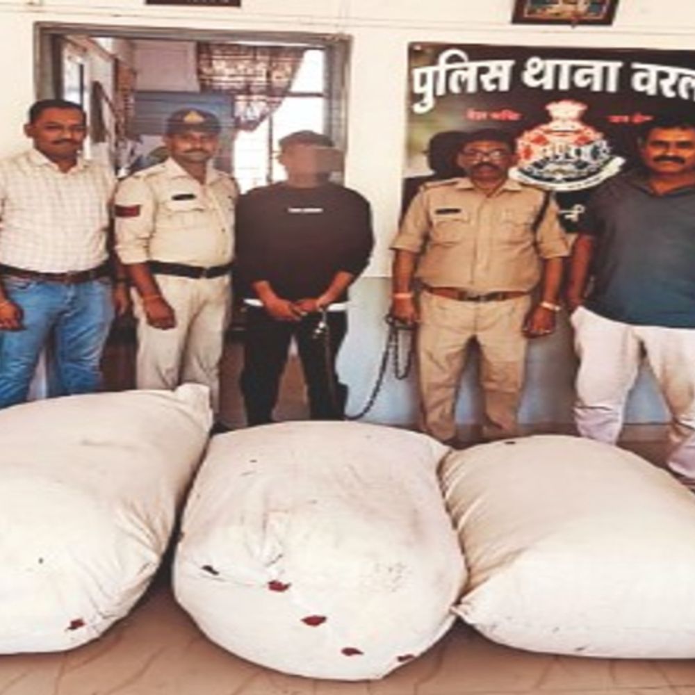 स्मगलिंग का नया पैंतरा‎:अनाज की बोरियों के पीछे छिपा 147 किलो गांजा जब्त