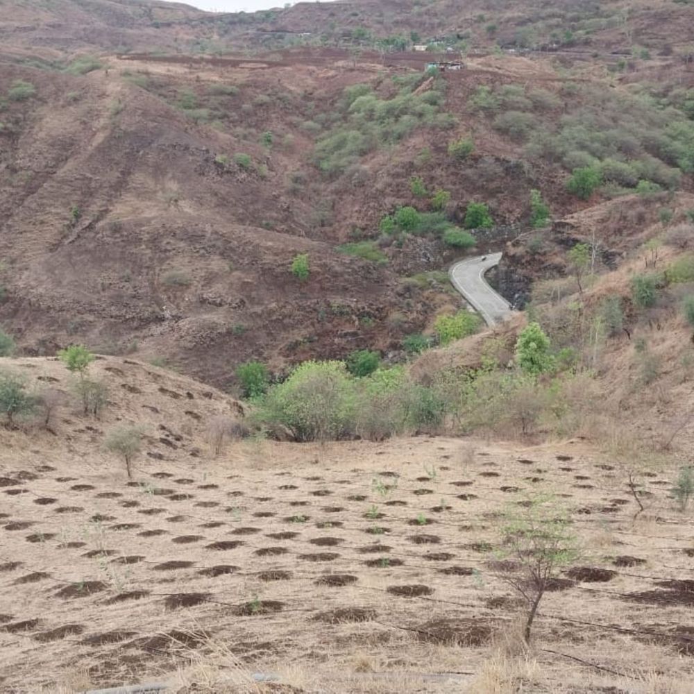 5 एकड़ बंजर पहाड़ी पर लहलहाएगी हरियाली