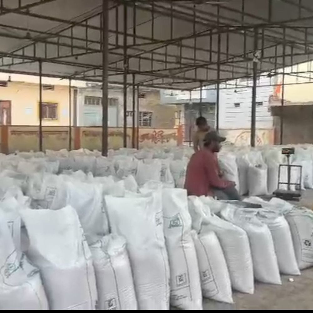 झालावाड़ में गेहूं की रिकॉर्ड खरीद:किसानों को न्यूनतम समर्थन मूल्य पर 160 रुपए ज्यादा मिले