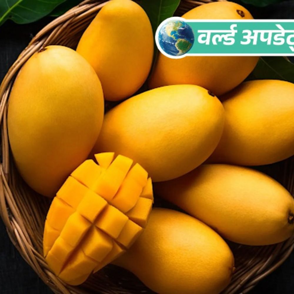 वर्ल्ड अपडेट्स:जापान के बाद नेपाल ने भी भारतीय आमों पर रोक लगाई, जांच में ज्यादा कीटनाशक मिलने का दावा