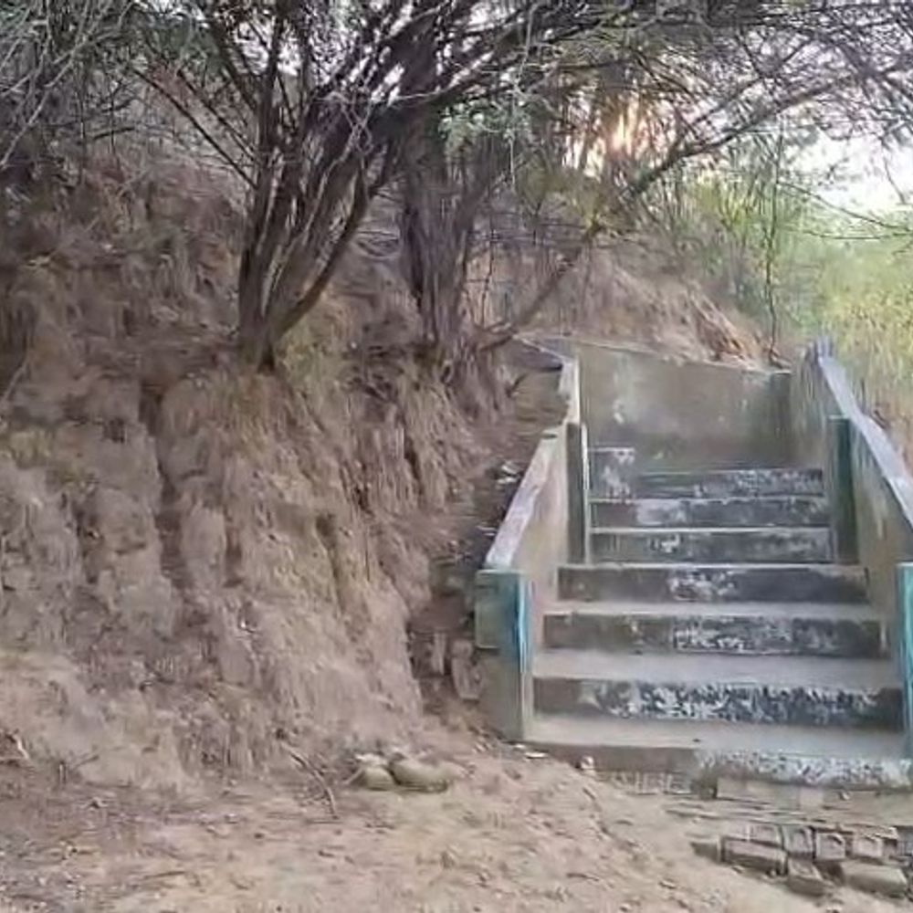 इटावा में सैय्यद मजार पर रात में चला बुलडोजर:5 घंटे में 3 हजार स्क्वॉयर फीट में बनी मजार समतल; वन विभाग ने पौधे रोपे