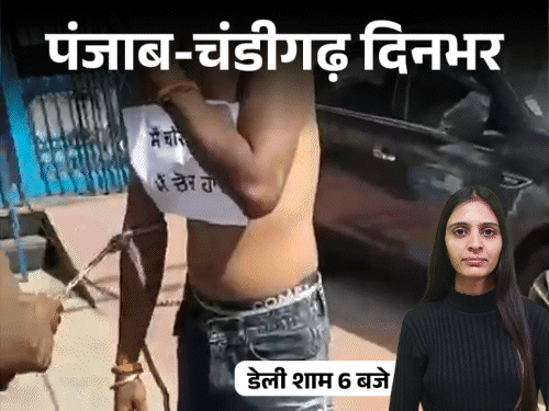 पंजाब-चंडीगढ़ दिनभर,10 बड़ी खबरें:पति की अश्लील वीडियो देख डॉक्टर का सुसाइड, 10वीं मंजिल से गिरा बैंककर्मी, मौलवी ने लड़के के साथ कुकर्म किया
