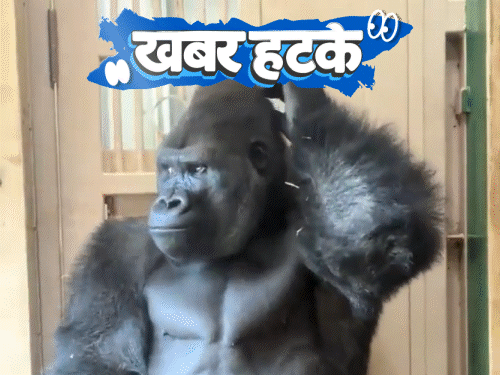 खबर हटके-फीमेल पार्टनर से लड़ाई, डिप्रेशन में गोरि