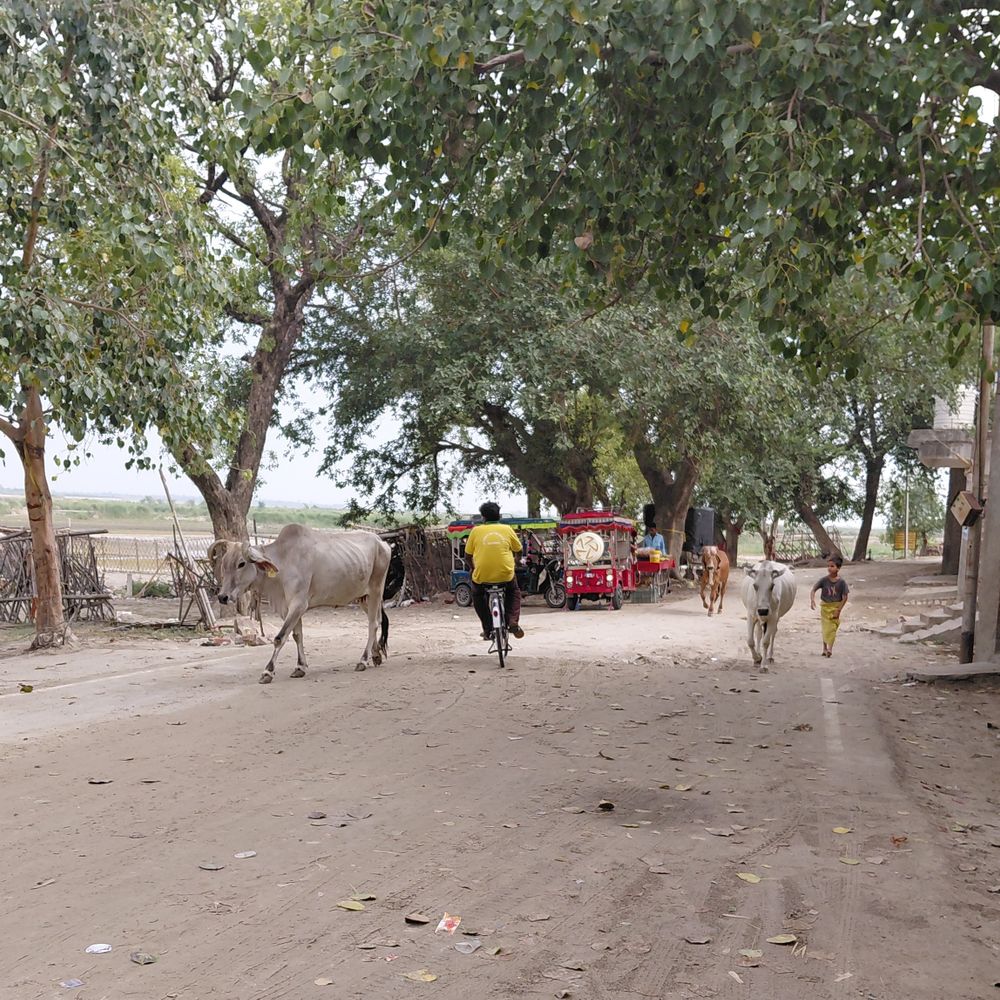 फर्रुखाबाद में रात को बारिश, गर्मी से राहत:मध्य रात के बाद तेज हवा संग बारिश, सुबह छाए रहे बादल