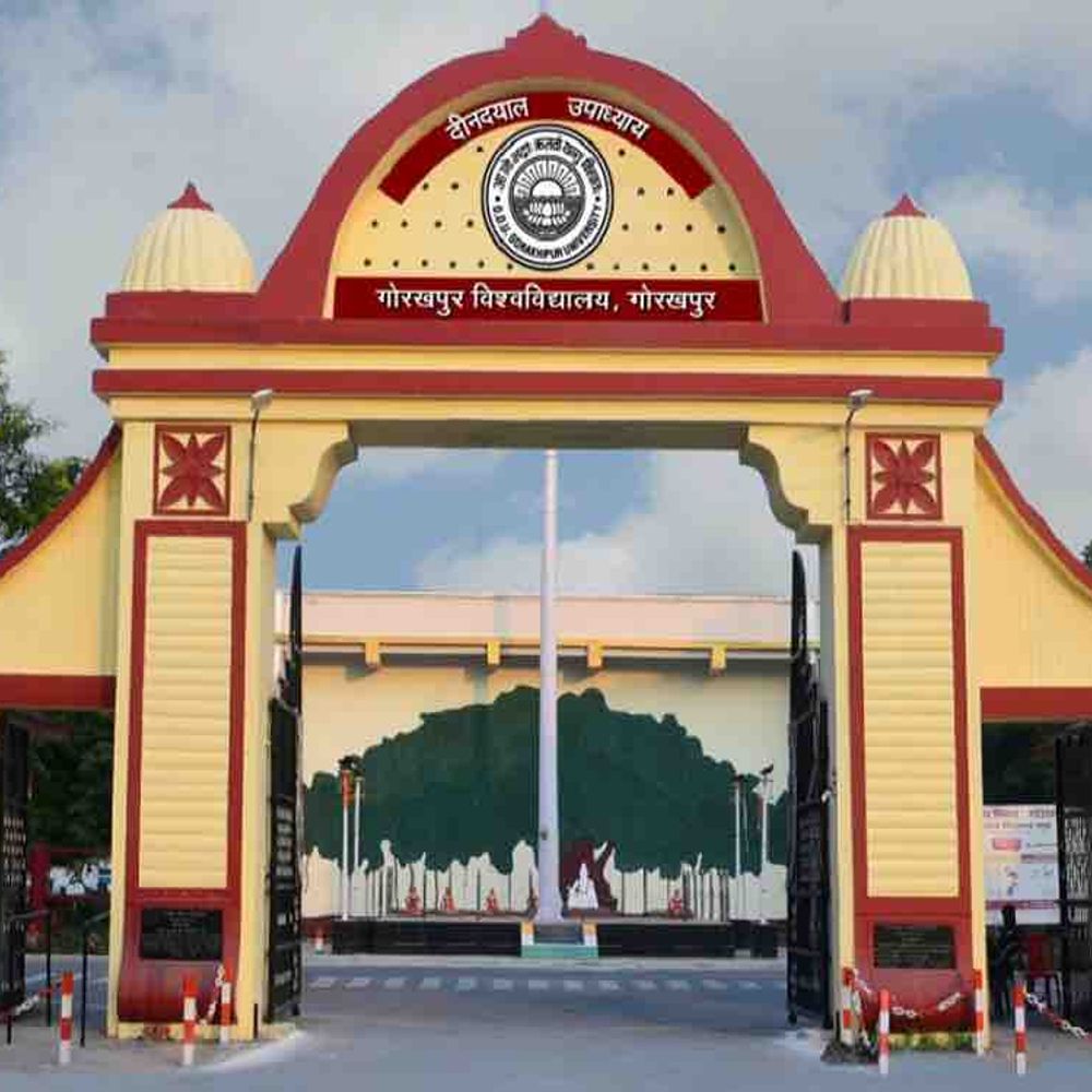 ग्लोबल लेवल पर मजबूत हुई डीडीयू की पहचान:देश में मिली 133वीं रैंक, 37 रिसर्च सब्जेक्ट में टॉप 50% संस्थानों में शामिल
