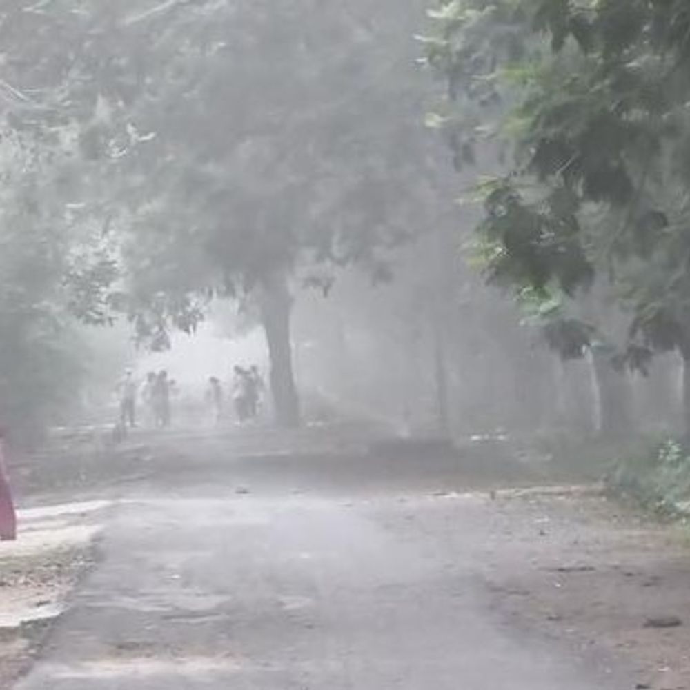 कोरबा-कटघोरा मार्ग पर नियमों की अनदेखी:खुले ट्रकों से उड़ रही फ्लाई ऐश, बढ़ा प्रदूषण और हादसों का खतरा,प्रशासन,प्रदूषण बोर्ड पर निष्क्रियता का आरोप