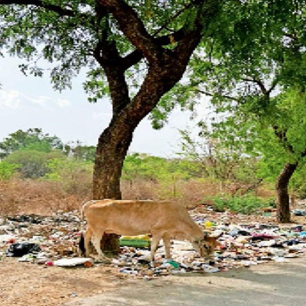 नगर निगम की स्वच्छता एप पर फर्जीवाड़े की गंदगी:शिकायत कहीं और की, फोटो दूसरी जगह की डालकर बंद कर रहे फाइलें