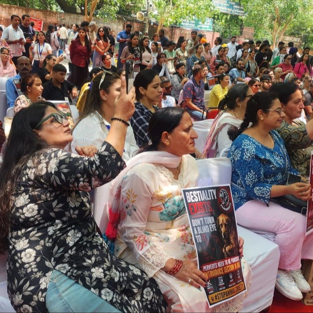 जंतर-मंतर पर सजी डॉग फ्री पंचायत:नुक्कड़ नाटक के जरिए पशु प्रेमियों ने सिस्टम को झकझोरा, जुर्माना बढ़ाने पर उठाए सवाल