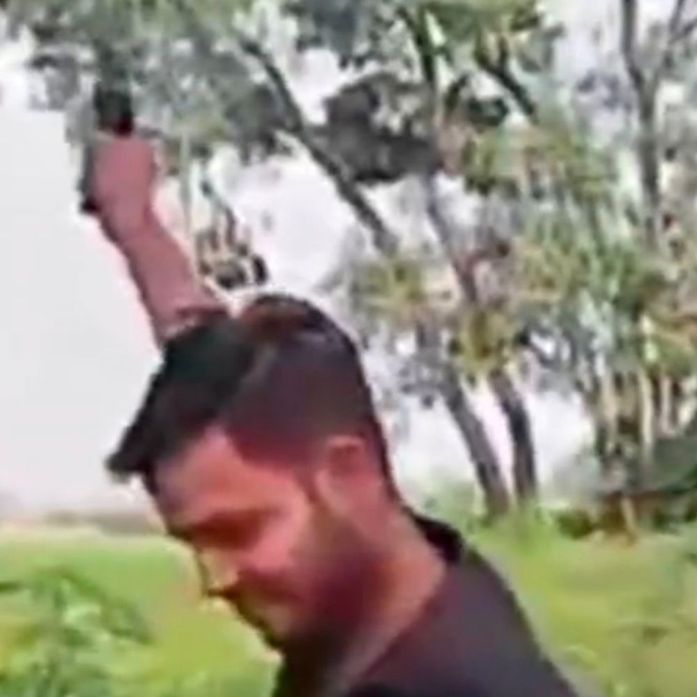 हरदोई में युवक ने तमंचे से की हवाई फायरिंग, VIDEO:एसओ बोले- 2 साल पुराना है वीडियो, आरोपी की तलाश जारी