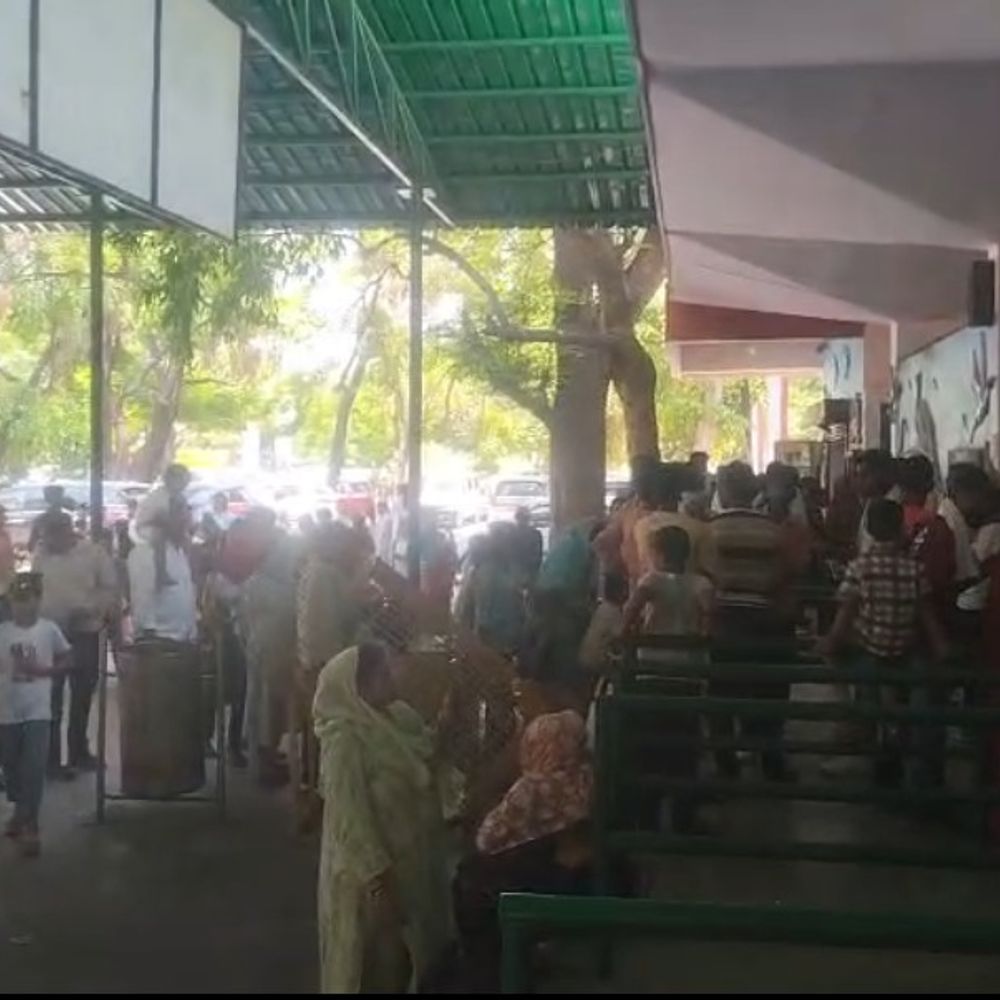 बारिश के बाद मौसम सुहावना, जू में भीड़:वीकेंड पर 4300 पर्यटक पहुंचे; वन अधिकारी बोले- एक दिन में हुई 2.74 लाख रुपए कमाई