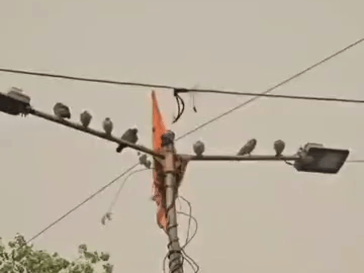 इंदौर में प्री-मानसून एक्टिव, सुबह बदला मौसम:  कई क्षेत्रों में हुई बारिश, बिजली कड़की; रात का पारा 7 डिग्री लुढ़का, अब मौसम साफ – Indore News