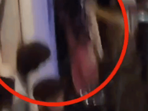 बुलंदशहर में घर में घुसकर युवक पर हमला:दबंगों लाठी-डंडों और रॉड से पीटा, हालत गंभीर