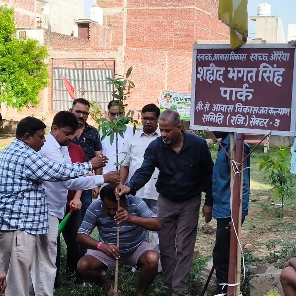 औरैया में शहीद भगत सिंह पार्क में पौधारोपण:जीवनधारा अभियान के तहत मोहल्ले के लोगों को सौंपी पौधों की देखभाल