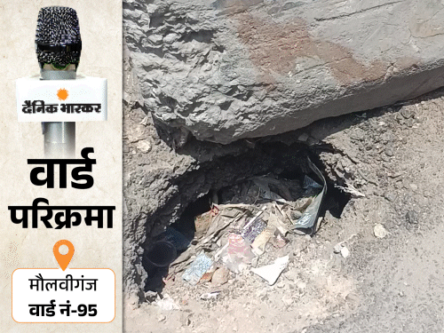 मौलवीगंज में गलियों-पार्कों में कूड़े का ढेर:आवारा कुत्तों का आतंक; अतिक्रमण से ठप हो रहा क्षेत्र का बिजनेस