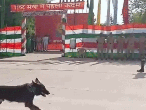 DIG के सामने जवानों ने दिखाए करतब:अफसरों ने कहा - इनमें से निकलेंगे देश के बड़े खिलाड़ी