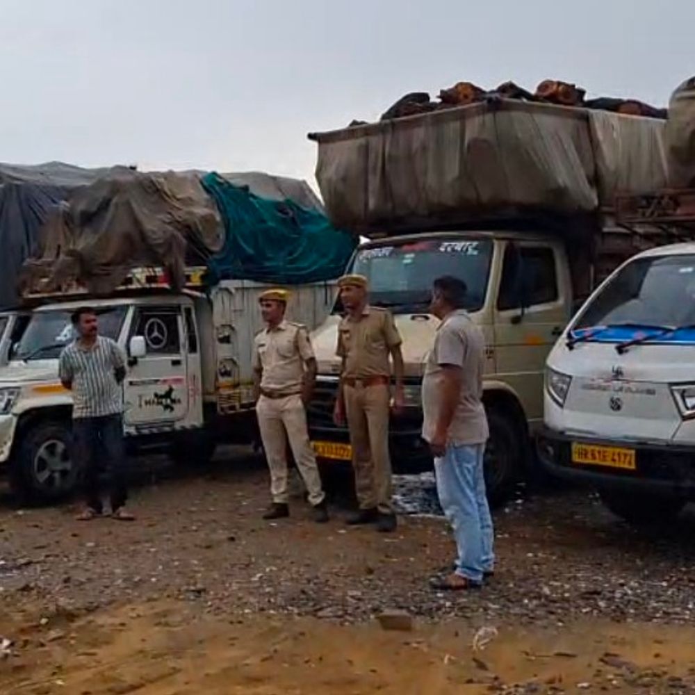 हरी लकड़ियों की तस्करी पर पुलिस का शिकंजा:तीन दिन में 23 वाहन किए जब्त, वन विभाग कर रहा जांच