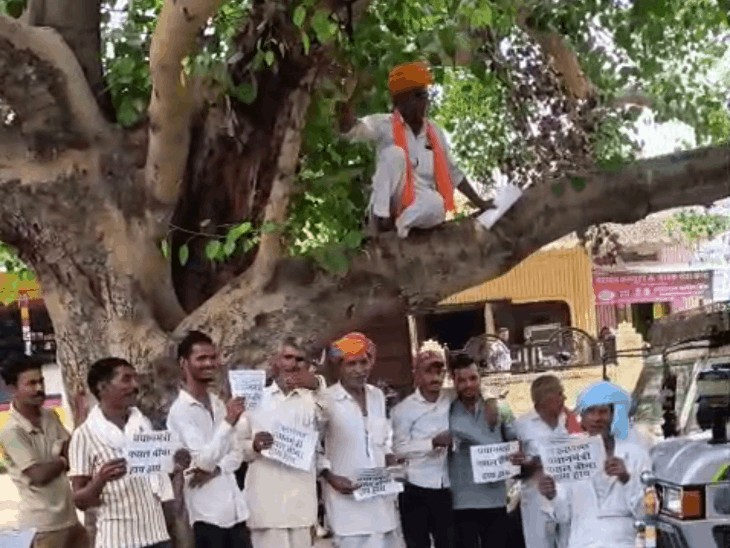 पीपल के पेड़ पर चढ़कर अनोखा प्रदर्शन:किसान ने 2 घंटे तक दिया धरना, अधिकारी ज्ञापन लेने नहीं आए तो किया अनोखा विरोध