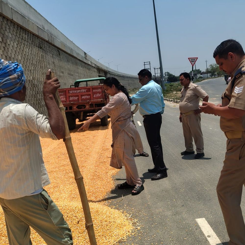 कन्नौज में सड़कों पर मक्का सुखा रहे किसान:एआरटीओ ने हटवाई, हादसों का हवाला देकर दी हिदायत