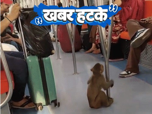 खबर हटके: गर्मी में गमछा लहराया तो रुकी ट्रेन, मेट्रो में बंदर का सफर और 10 साल बाद मिली अंगूठी