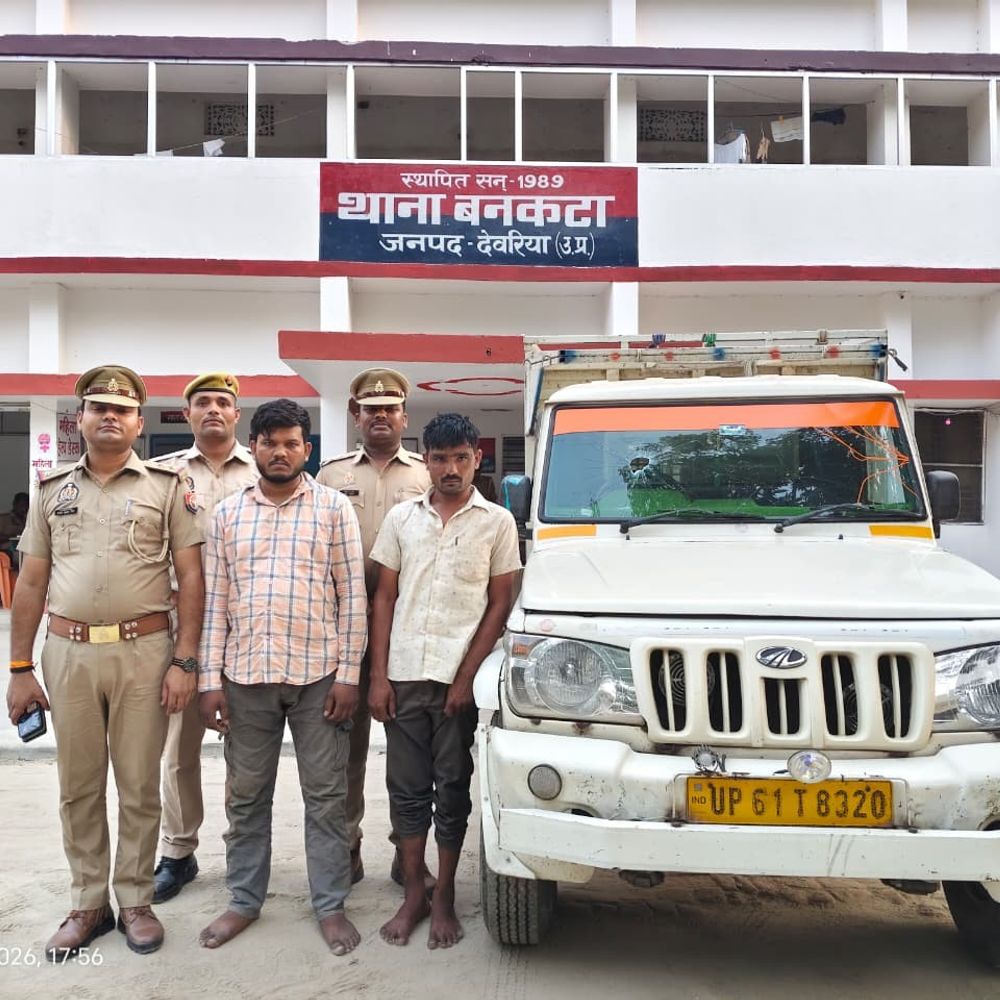 देवरिया में 11 गोवंशीय पशु बरामद:पिकअप से तस्करी करते 2 आरोपी गिरफ्तार, अन्य लोगों की तलाश जारी