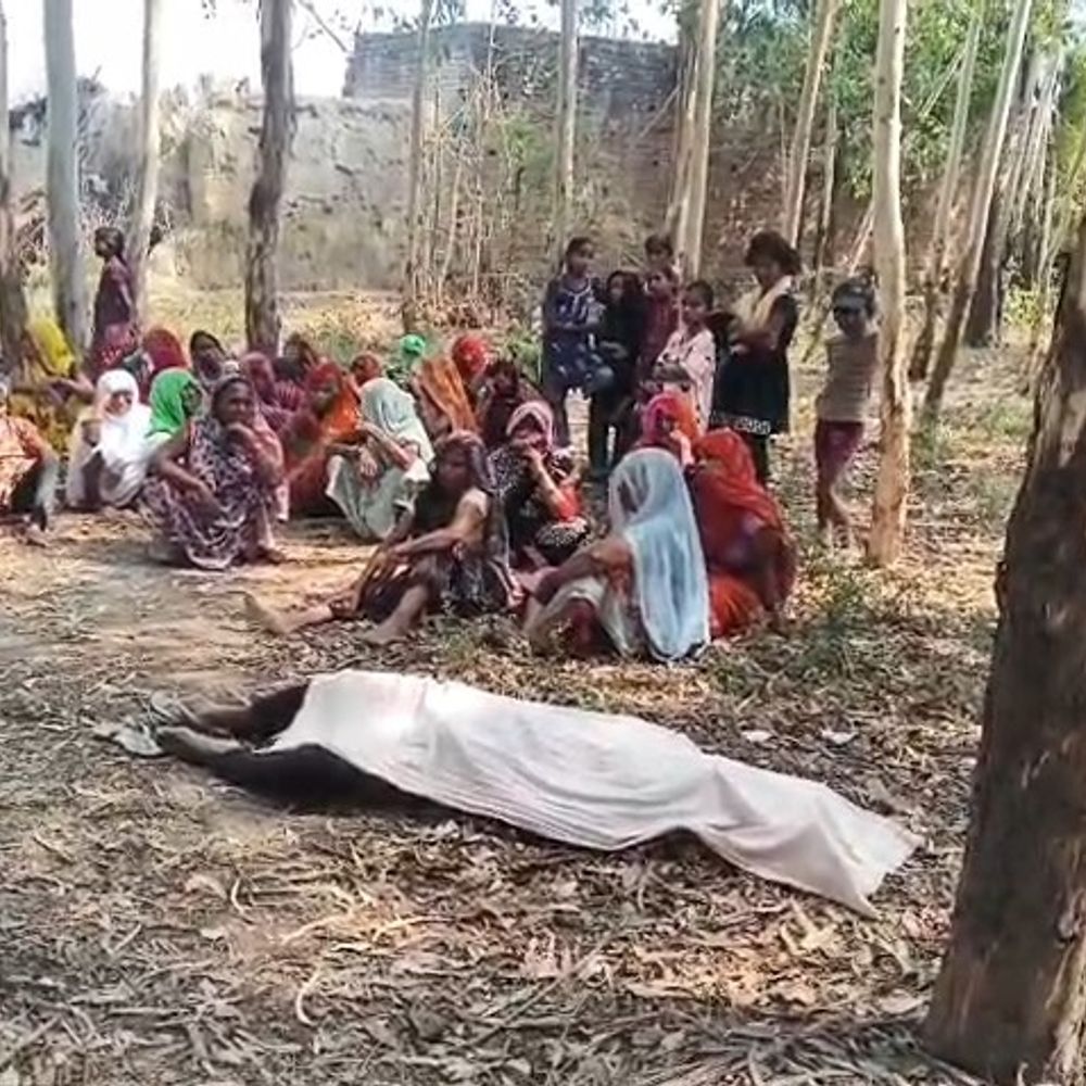 सीतापुर में यूकेलिप्टस बाग में मिला युवक का शव:शाम से लापता था, फॉरेंसिक टीम ने जुटाए साक्ष्य, चोट के निशान नहीं मिले