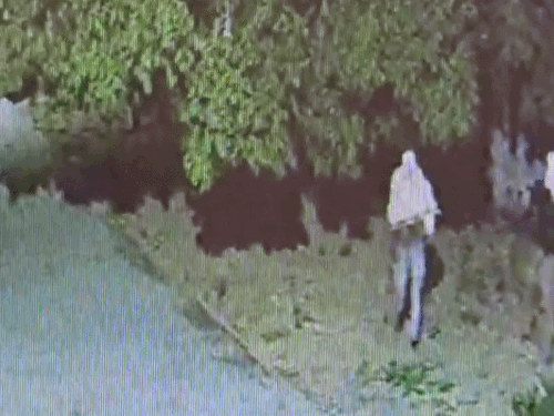 सीकर में फिर चोरों के निशाने पर मंदिर, CCTV VIDEO:किरालिया गांव के काली माता और बालाजी मंदिर में लाखों के छत्र चोरी