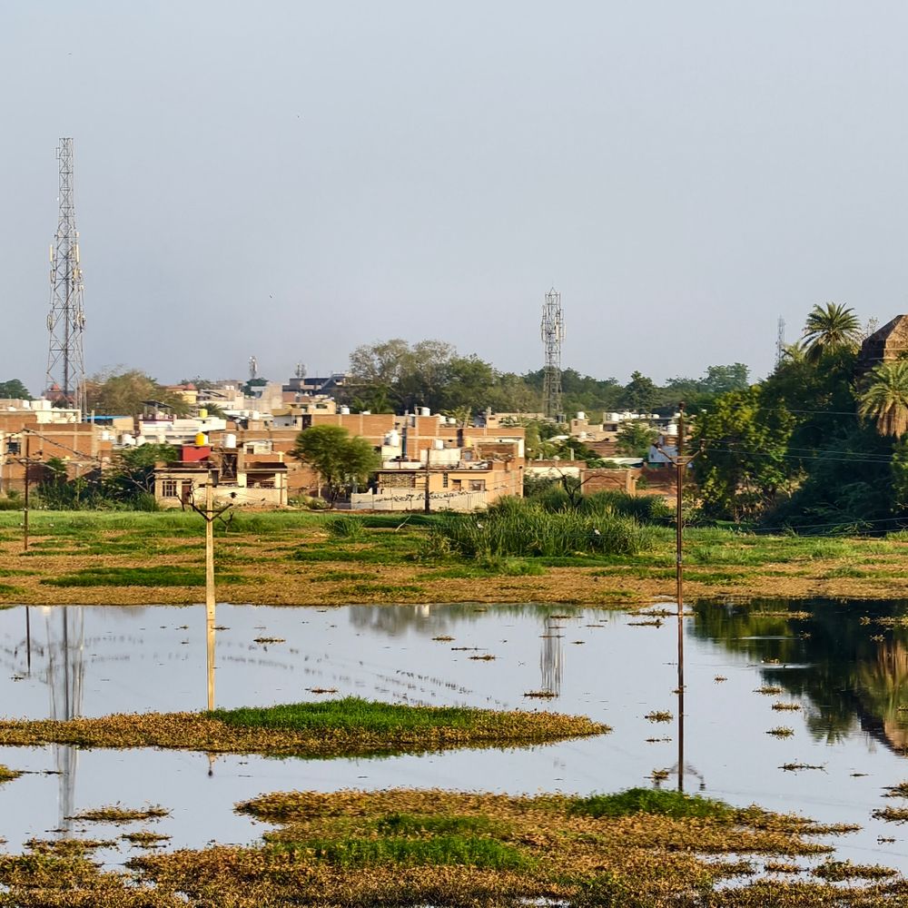 दतिया में पिछले साल से 5 गुना कम बारिश:  जून महीने में अब तक सिर्फ 13.25 मिमी वर्षा, खेती पर संकट मंडराया – datia News