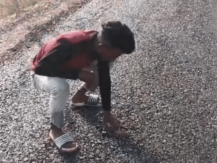 3 करोड़ की सड़क हाथों से उखड़ रही, VIDEO:  मुरैना में ठेकेदार बोला- कम्पटीशन में ज्यादा बचत नहीं होती, सब इंजीनियर बोले- सब ठीक है – Morena News