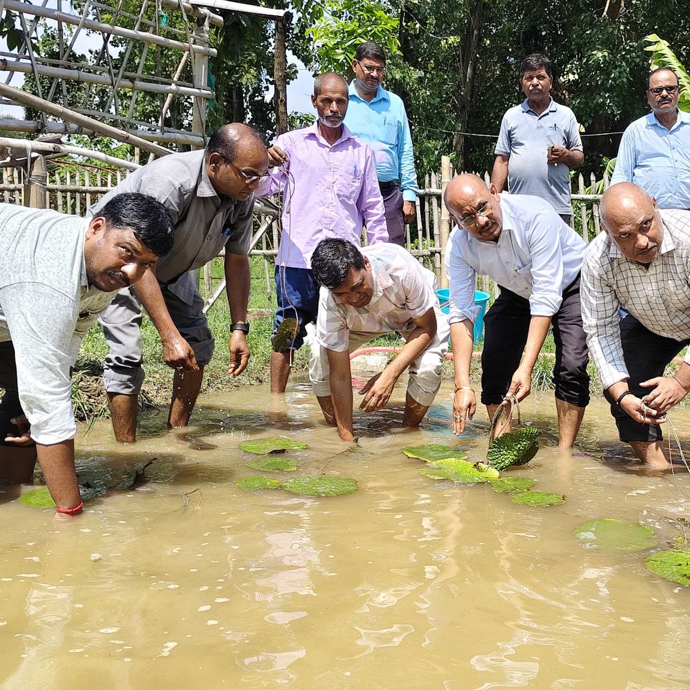 डॉ. दिलीप महतो बने अगवानपुर अनुसंधान संस्थान के सह निदेशक:मखाना किसानों को स्वावलंबी बनाना, 'चौपाल' आयोजन प्राथमिकता