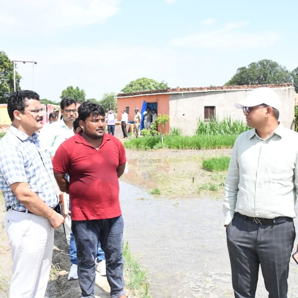 2 हेक्टेयर में कालानमक धान से 3.40 लाख का मुनाफा:द्धार्थनगर में जयराम की सफलता बनी मिसाल; डीएम ने खेत पहुंचकर देखा रोपाई का काम