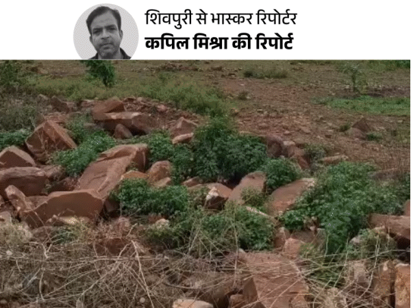 एमपी के शिवपुरी में बनेगी डिफेंस फैक्ट्री:103 एकड़ जमीन पर 2500 करोड़ का निवेश; 2 हजार से अधिक को मिलेगा रोजगार