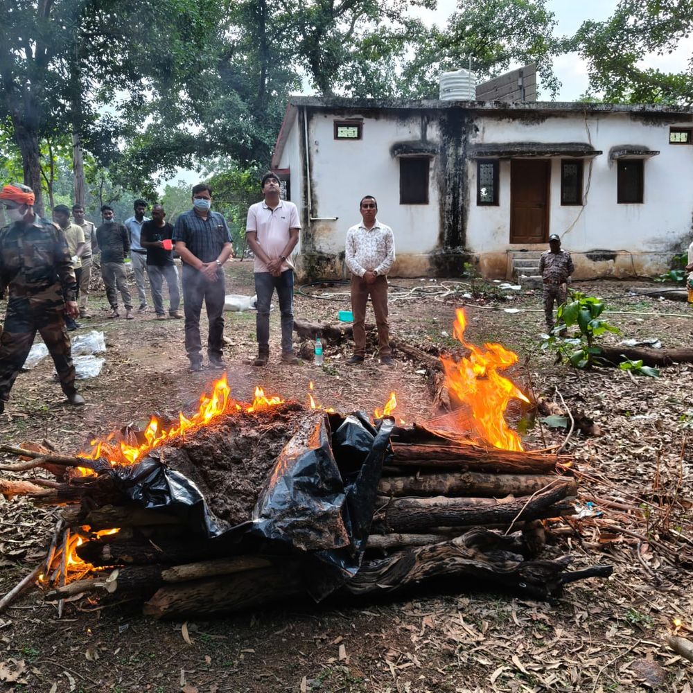 सतना में वन कर्मी का परिवार निकला बाघ का शिकारी:दो महीने बाद कब्र खोदकर अवशेष मिले; तीन हिरासत में