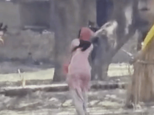 प्रतापगढ़ में आम बीनने को लेकर भिड़े दो पक्ष, VIDEO:कई लोग घायल, 6 लोगों पर केस, महिला को पीटकर मोबाइल तोड़ा