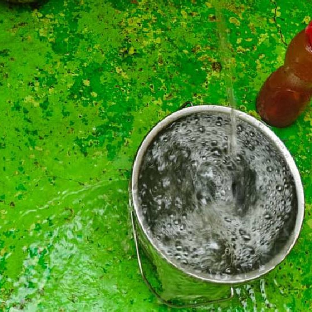 जबलपुर में नलों से आया काला और बदबूदार पानी:  नाले के भीतर से निकली पाइपलाइन; उत्तर विधानसभा के लोग दहशत में,दर्जनों बीमार होने का दावा – Jabalpur News