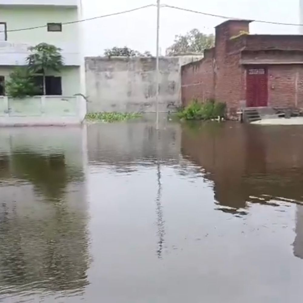 पीलीभीत में सुबह से बारिश, 5 डिग्री गिरा पारा:24 घंटे में 30mm बारिश दर्ज; निचले इलाकों में जलभराव से बढ़ीं मुश्किलें