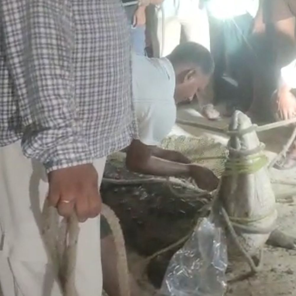 एटा के खेत में मिला 9 फीट का मगरमच्छ:ग्रामीणों और पुलिस ने किया रेस्क्यू; वन विभाग को सौंपा