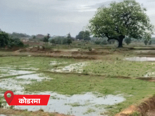 आज झारखंड के 24 जिलों में ऑरेंज अलर्ट:संथाल परगना के जिलों में बारिश-तेज हवा के आसार, 13-14 जुलाई को और तेज होगा असर