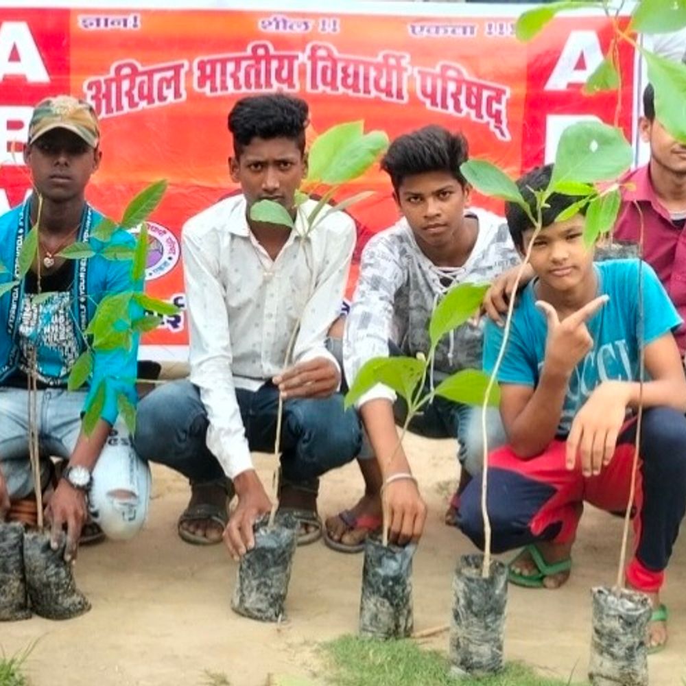 बेगूसराय में ABVP का स्थापना पखवाड़ा:छात्रों को बांटे फलदार-छायादार पौधे, दिया पर्यावरण संरक्षण का संदेश