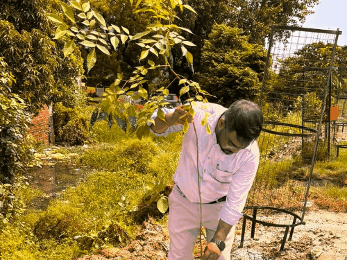 अपनी नई आवासीय कालोनियों को हरा-भरा बनाएगा GDA:पहले दिन 4520 पौधे रोपित किए; 25000 का है लक्ष्य
