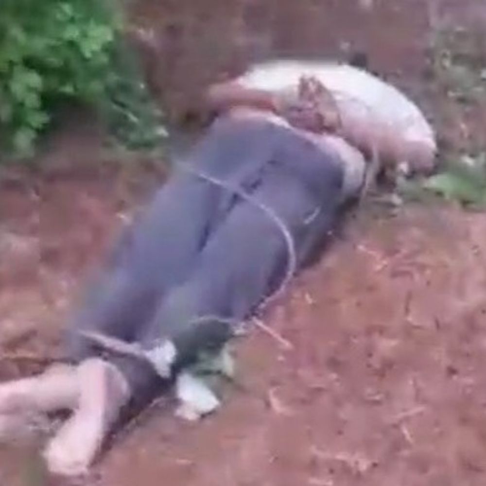 युवक को रस्सी से बांधकर फेंकने के मामले में FIR:कुशीनगर में बेहोशी का हालत में मिला था, पुलिस ने जांच शुरू की