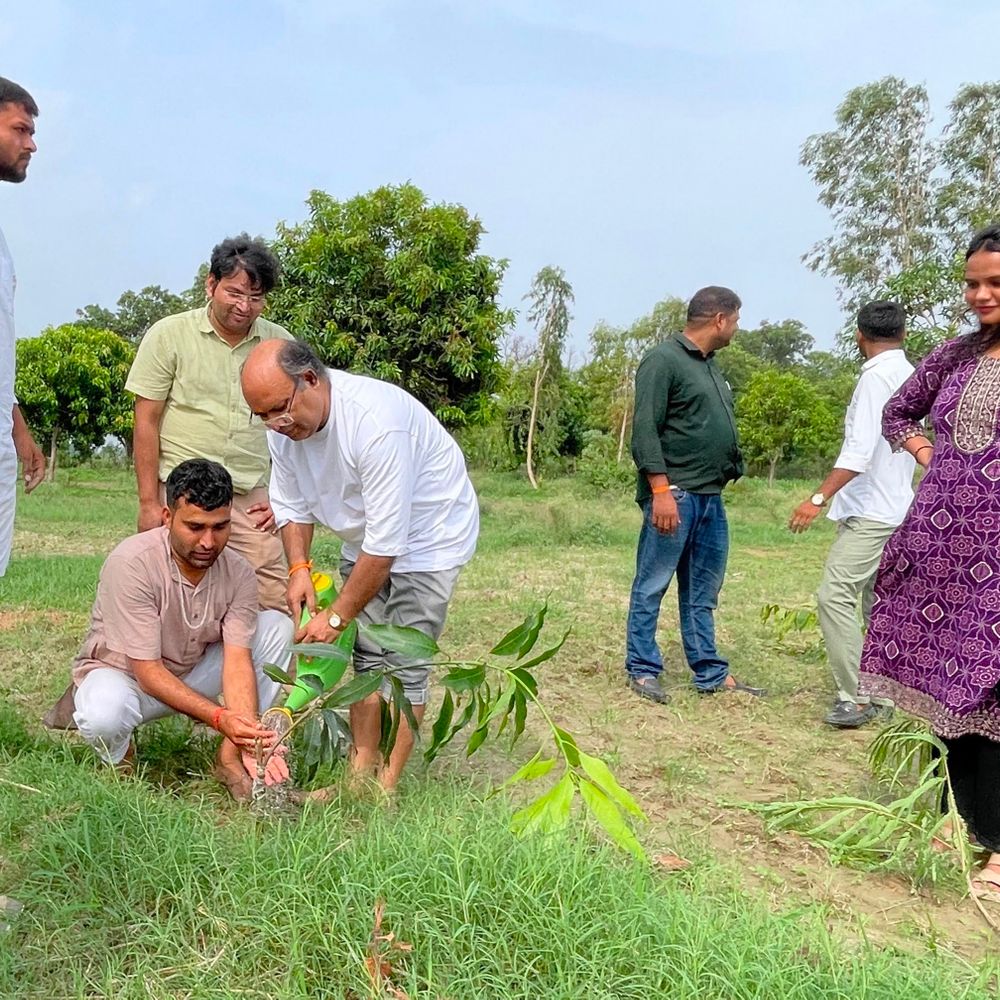 प्रयागराज में 'पृथ्वी पर हस्ताक्षर' अभियान के तहत पौधरोपण:शिक्षा संस्कृति उत्थान न्यास और मंगल भूमि फाउंडेशन ने किया आयोजन