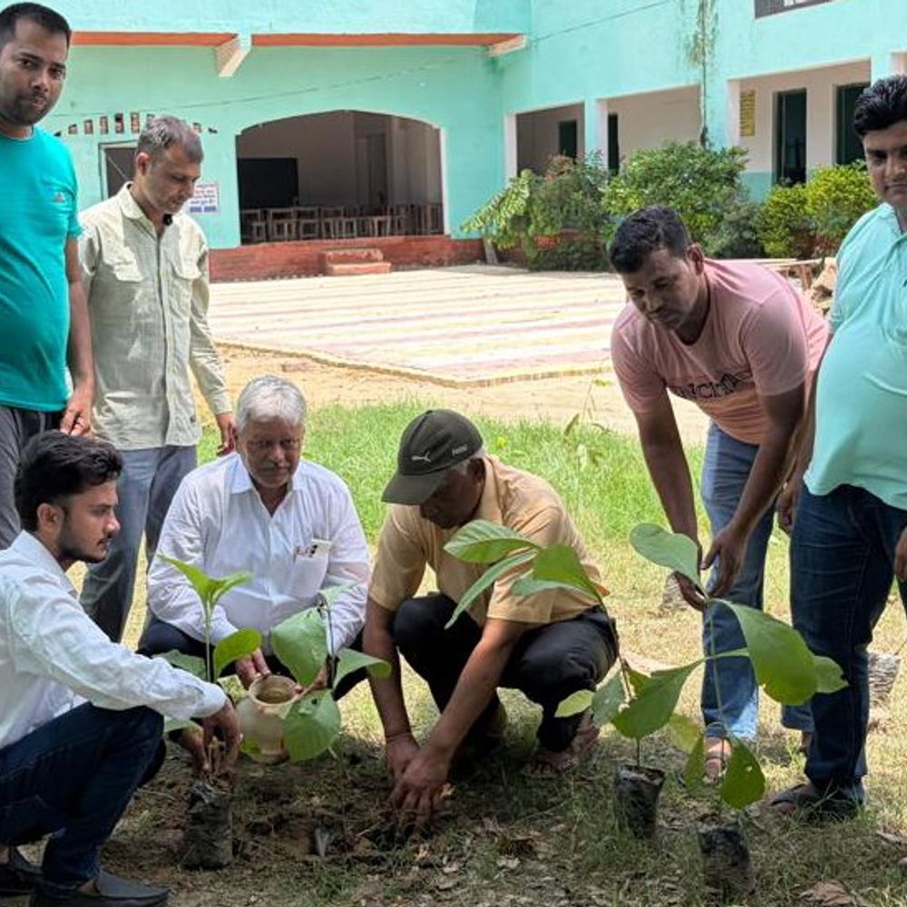 संभल केमिस्ट एसोसिएशन ने किया पौधरोपण:'एक पेड़ मां के नाम' अभियान के तहत विद्यालय परिसर में लगाया गया