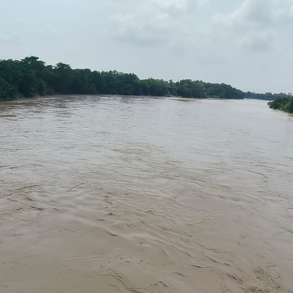 सिद्धार्थनगर में बारिश से नदियों का जलस्तर बढ़ा:बांसी में 99.20 MM बारिश, बानगंगा खतरे के निशान से 4.22 मीटर नीचे